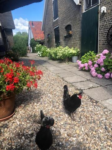 B&B De Beijersche Stee , Logies In De Wagenschuur Stolwijk Exterior photo